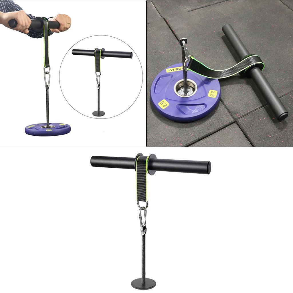 Wrist and Forearm Blaster Musc - đánh giá và giá Wrist Roller Forearm