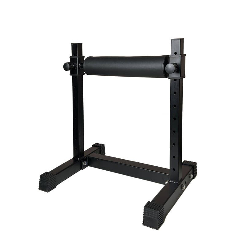 Adjustable Single Leg Squat St - đánh giá và giá Home Gym Designs