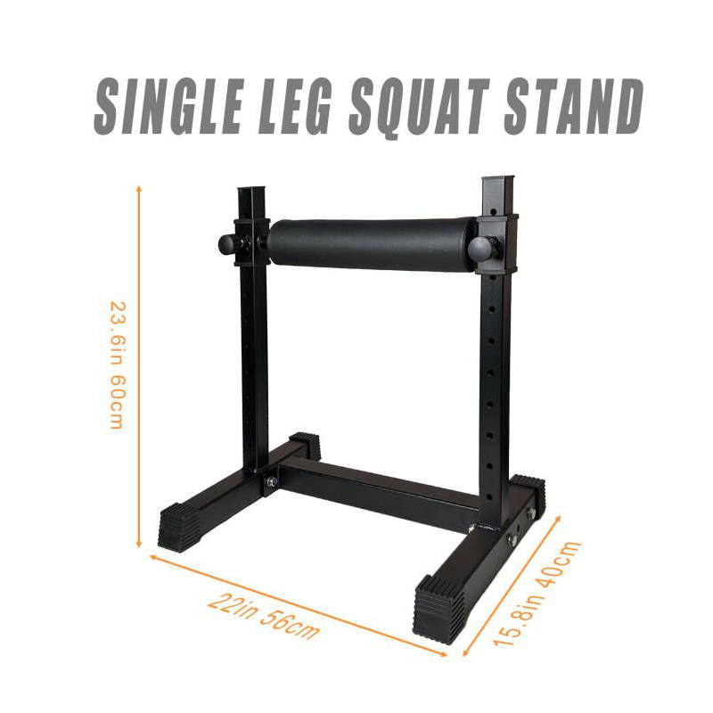 Adjustable Single Leg Squat St - đánh giá và giá Home Gym Designs