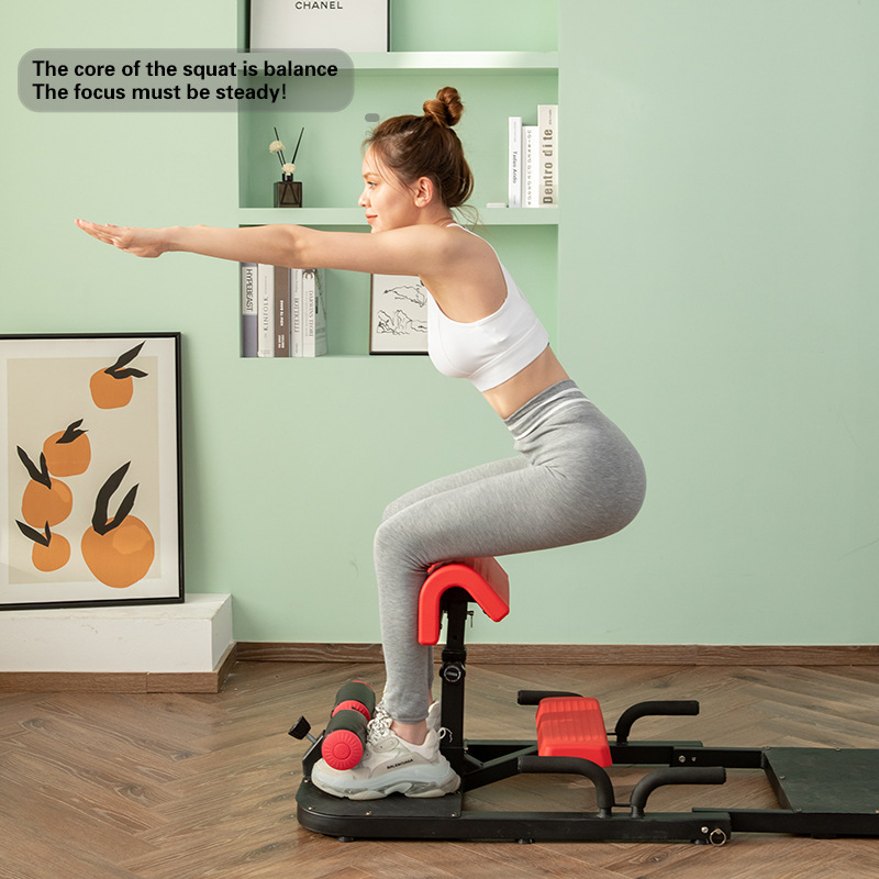 Sissy Squat Machine 3-in-1 Hom - đánh giá và giá Home Gym Quad Machine
