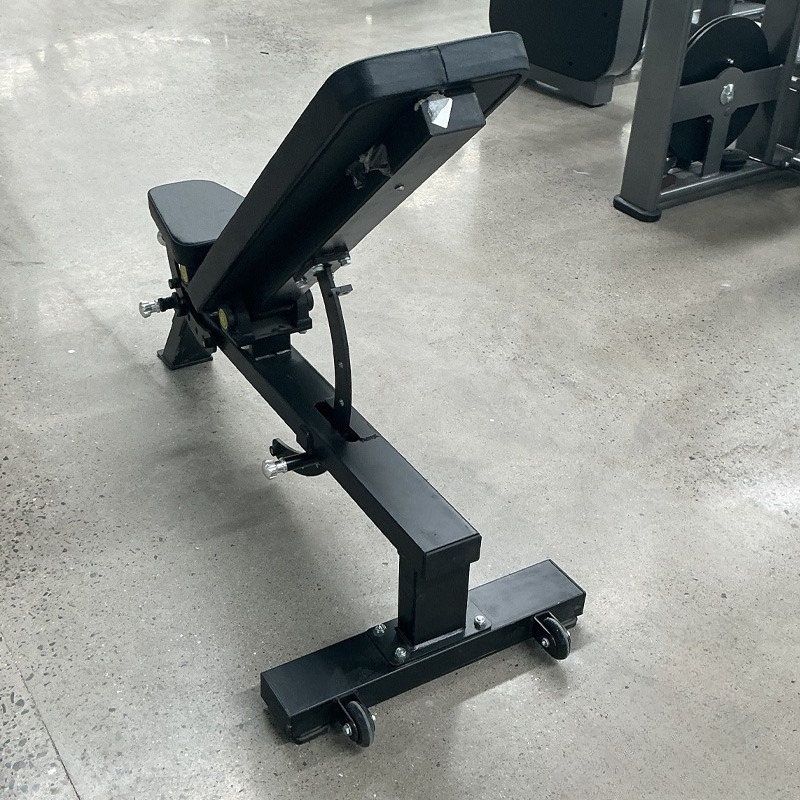 Adjustable Home Gym Dumbbell B - đánh giá và giá Home Gym Designs